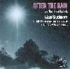 Alan Skidmore: After The Rain CD cover